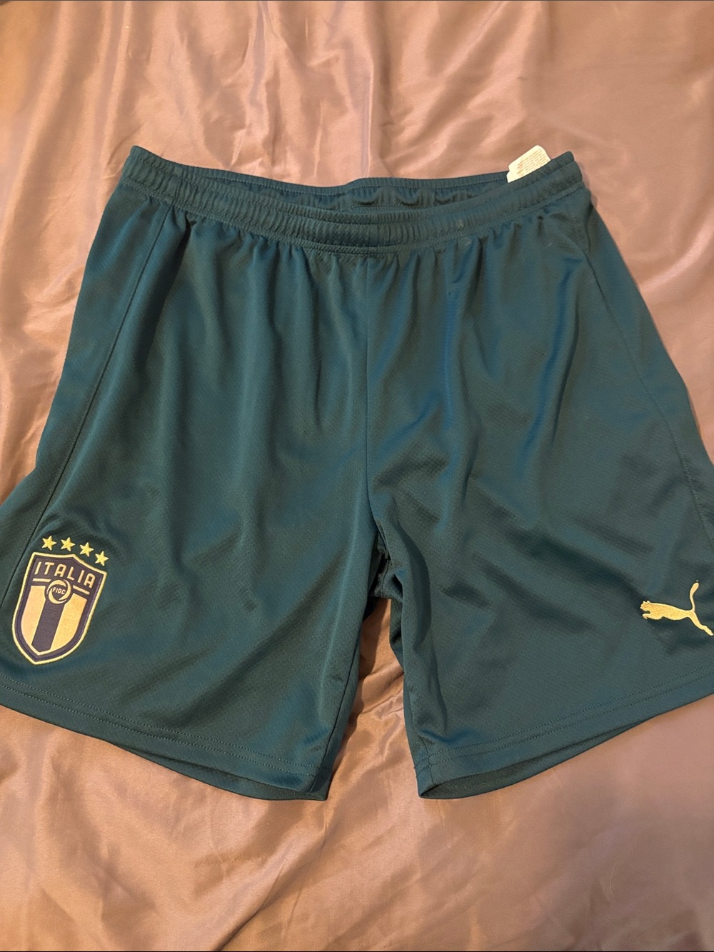 Puma Italia Italy Renaissance Soccer Shorts in Teal with Gold Logos